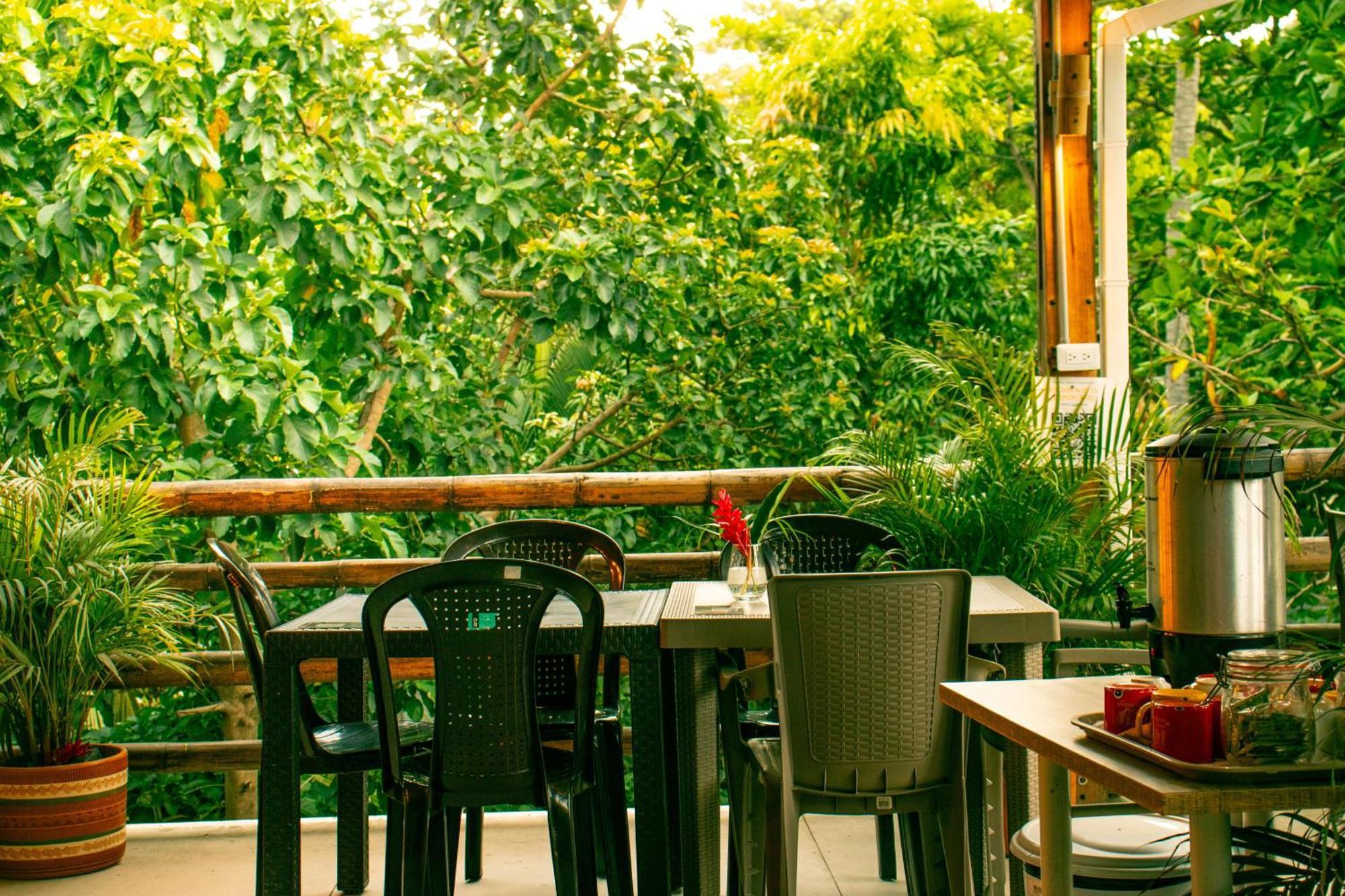 Tayrona Juancho'S House Hostel & Coworking Лос Наранхос Екстериор снимка